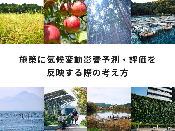 施策に気候変動影響予測・評価を反映する際の考え方