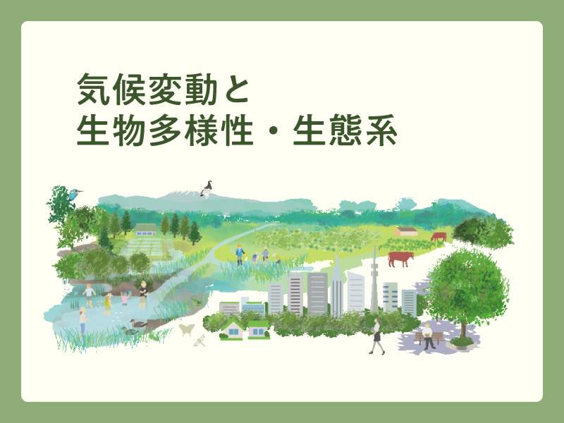 気候変動と生物多様性・生態系