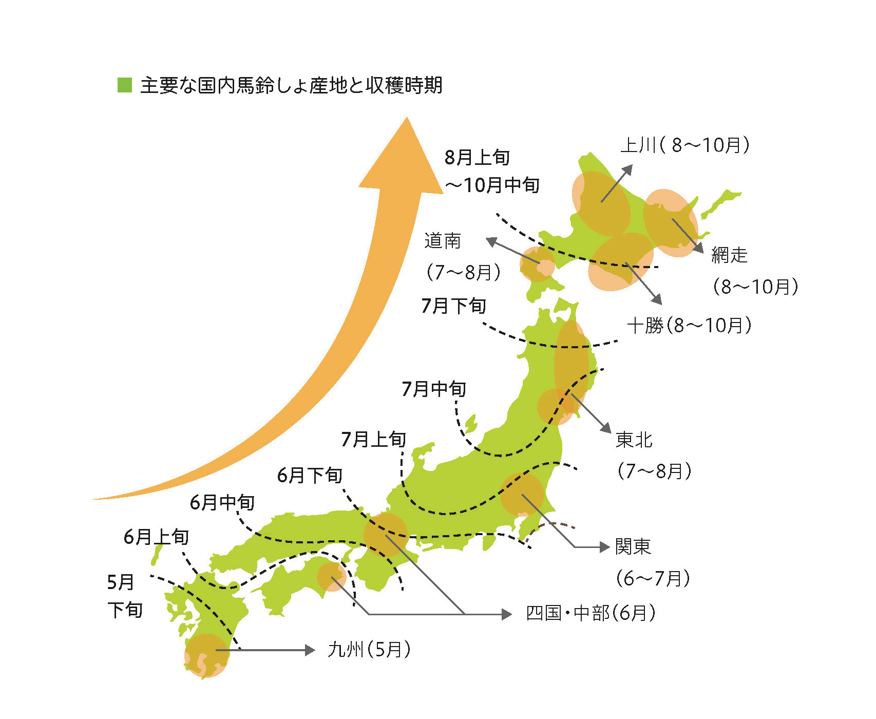 図３ 主要な国内馬鈴しょ産地と収穫時期の図