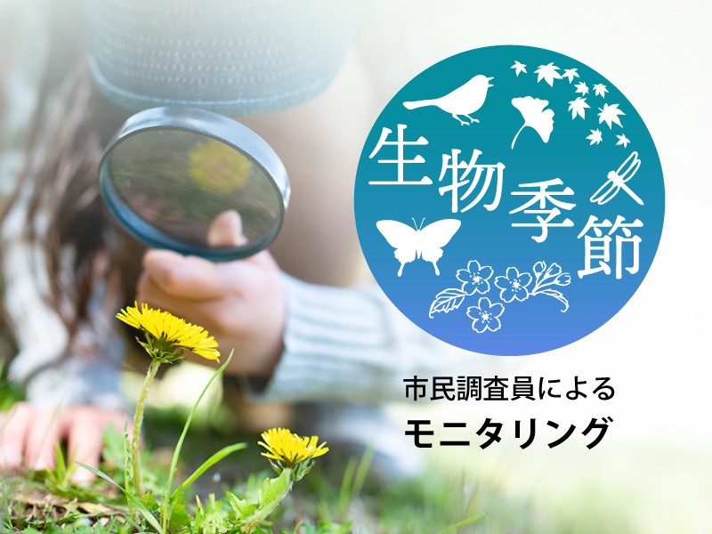 生物季節モニタリング