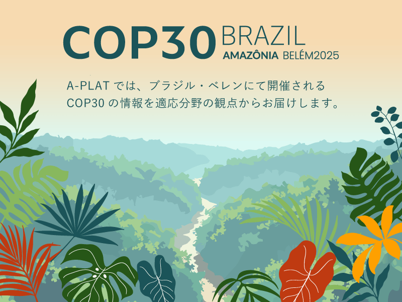 COP30 気候変動適応特集!