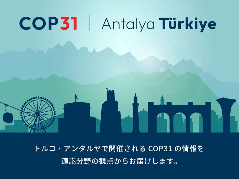COP31